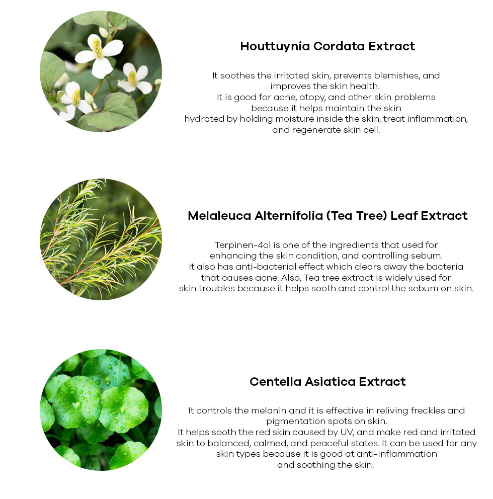 Niacinamide 10 Brightening Ampoule