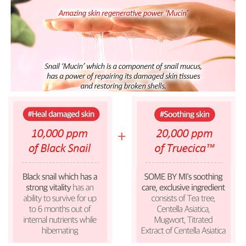 Snail Truecica Miracle Repair Starter Kit